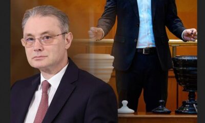 Guvernul Luca Niculescu a trecut de votul Palramentului