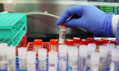 Inteligența artificială, folosită în experimente cu virusuri periculoase