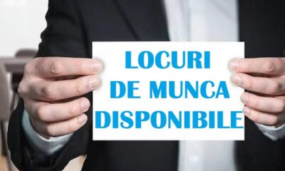 Cauți un loc de muncă? Oferta completă publicată de AJOFM