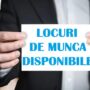 Cauți un loc de muncă? Oferta completă publicată de AJOFM