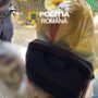Percheziții efectuate de polițiștii de la Criminalitate Economică